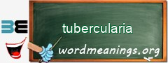 WordMeaning blackboard for tubercularia